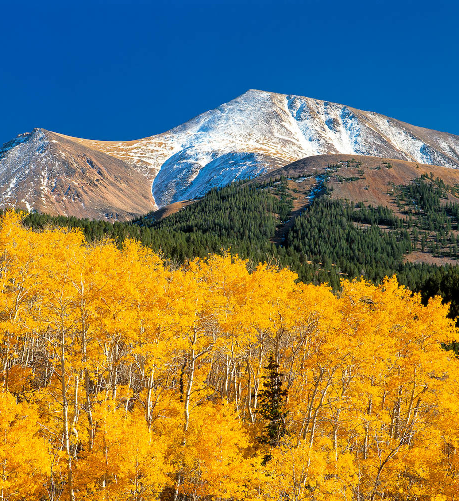 MT GARFIELD - 10,961' LIMA PEAKS - JOHN LAMBING Pioneer Mountain Cabins 1